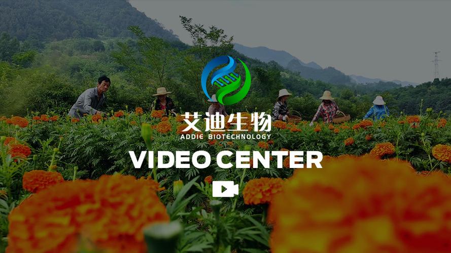 艾迪生物科技